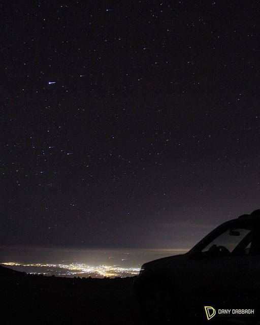 What we are and what we need.. they're different things. stars ... (The Cedars of Lebanon)