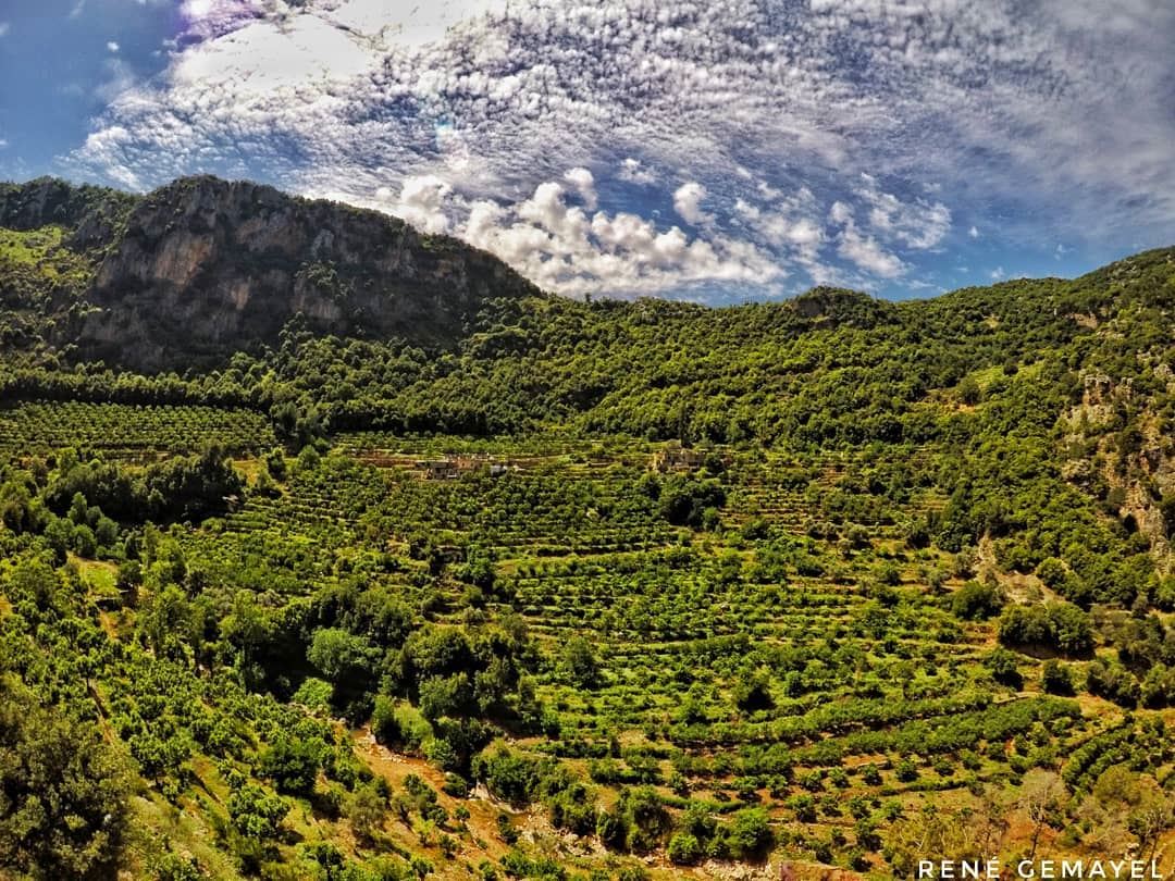 What we see depends mainly on what we look for.... livelovelebanon ... (Zgharta)