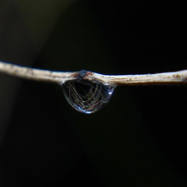 What you can see in Just a drop of water.  rain  water  lebanon ... (Jezzîne, Al Janub, Lebanon)
