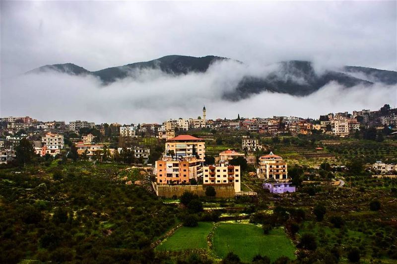 Whatever the mind of man can conceive and believe, it can achieve. Good... (Arabsalim, Lebanon)