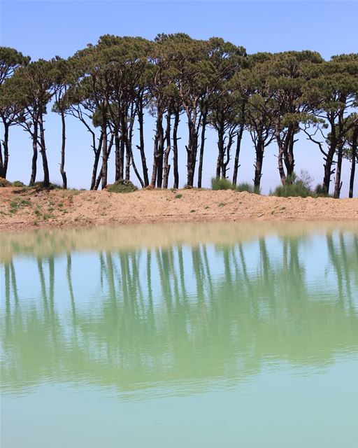 Whats great about nature is that you can enjoy it twice...  nature ... (Falougha, Mont-Liban, Lebanon)