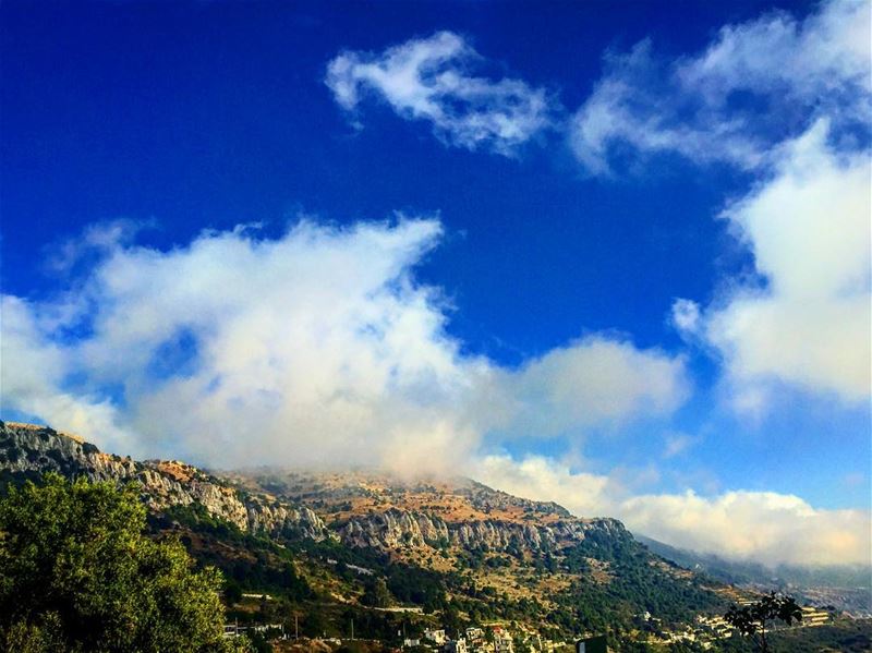  whatsuplebanon  thebestinlebanon  livelovelebanon  livelovesouthlebanon ... (Zhalta, Al Janub, Lebanon)