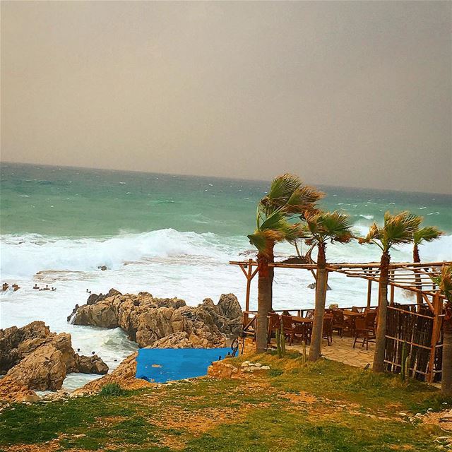  whatsuplebanon wearelebanon hd_lebanon lebanon_pictures lebanonspotlights... (Puncho)