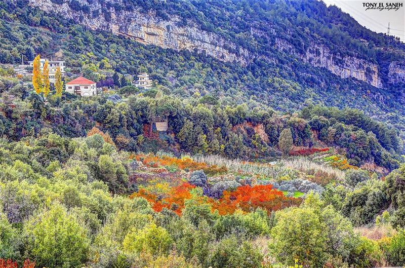  whatsuplebanon worthdoinglebanon insta_lebanon instalebanon instalebnen... (Khawaby Yahchouch)