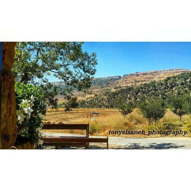  whatsuplebanon worthdoinglebanon insta_lebanon instalebanon instalebnen... (Sannin, Mont-Liban, Lebanon)
