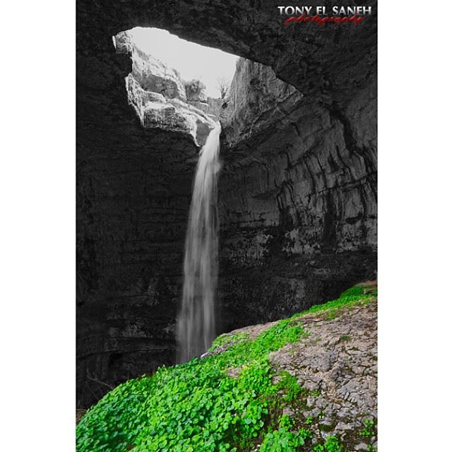  whatsuplebanon worthdoinglebanon insta_lebanon instalebanon instalebnen...