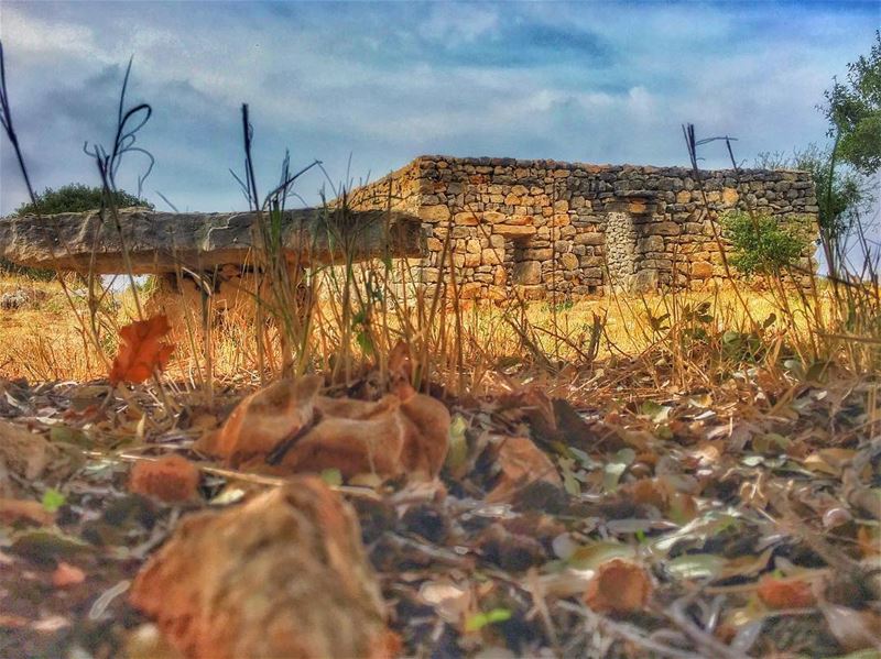 " When Effort Fades,Know They've Already Walked Away ..." whatsuplebanon... (Batroun District)