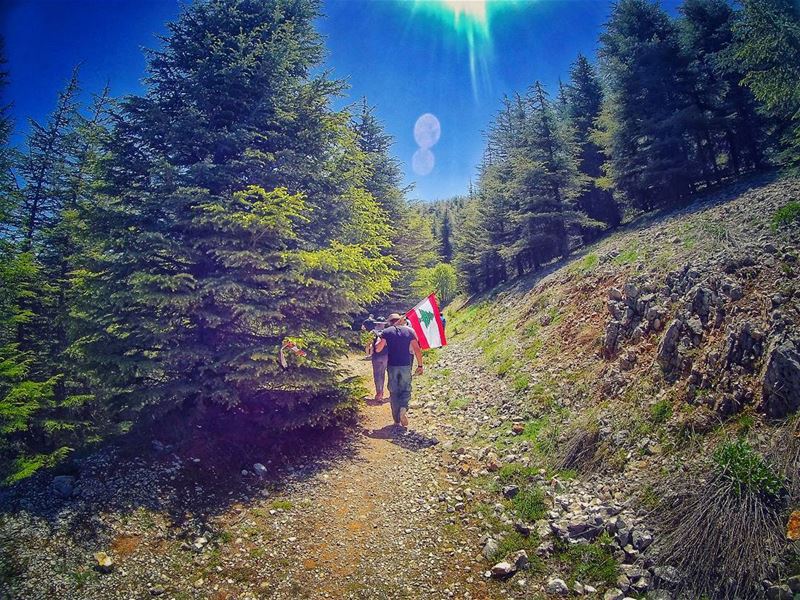 When 🇱🇧 guides your  hikingtrip ✌ مشوار_مع_مغوار  cedars ... (Arz el Maasser)