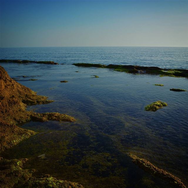 When hope dies can a hero survive? sunset  ocean  loves_lebanon ...
