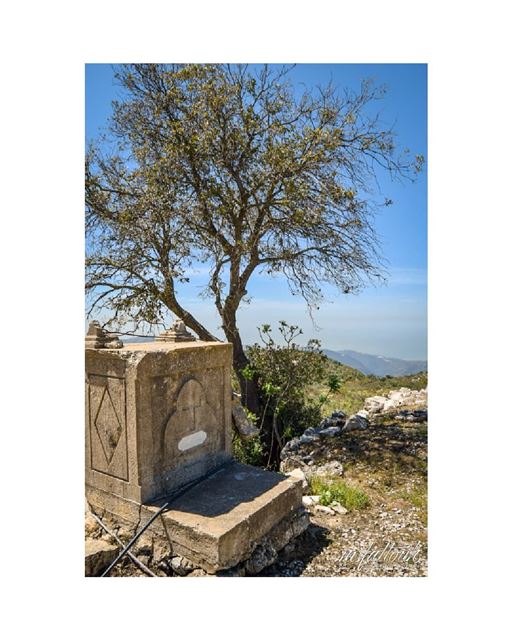 When I die, bury me under a tree, high above the clouds, closer to heaven,...