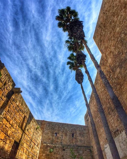 When i look into the blue sky, it seems so deep, so full of a mysterious... (Romanian Castle - Tripoli)