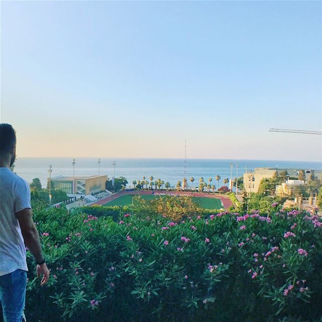 When in Beirut you surely got to take a stroll around  AUB . It made me... (American University of Beirut (AUB))