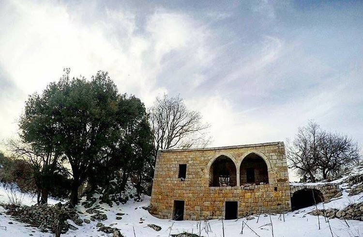 When in  JabalMoussa... Happy Sunday!  biospherereserve  unesco ... (Jabal Moussa)