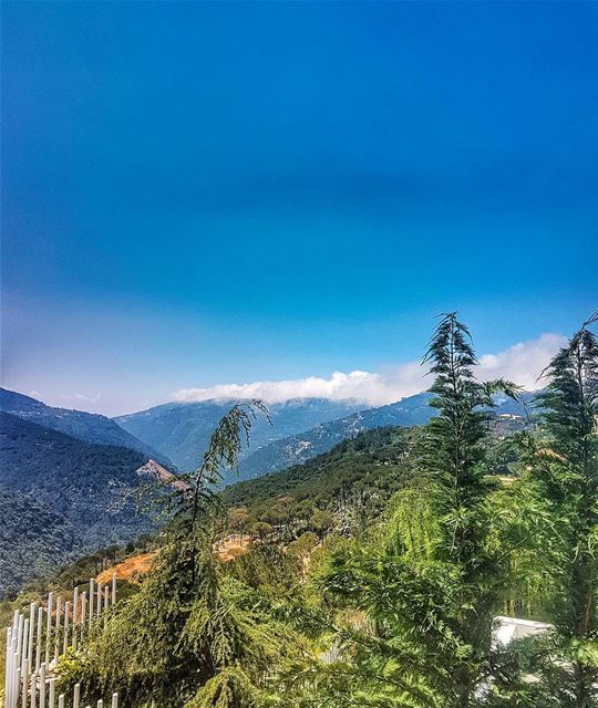 When it's perfect  perfect  weather  nature  naturephotography ... (Ouyoun)
