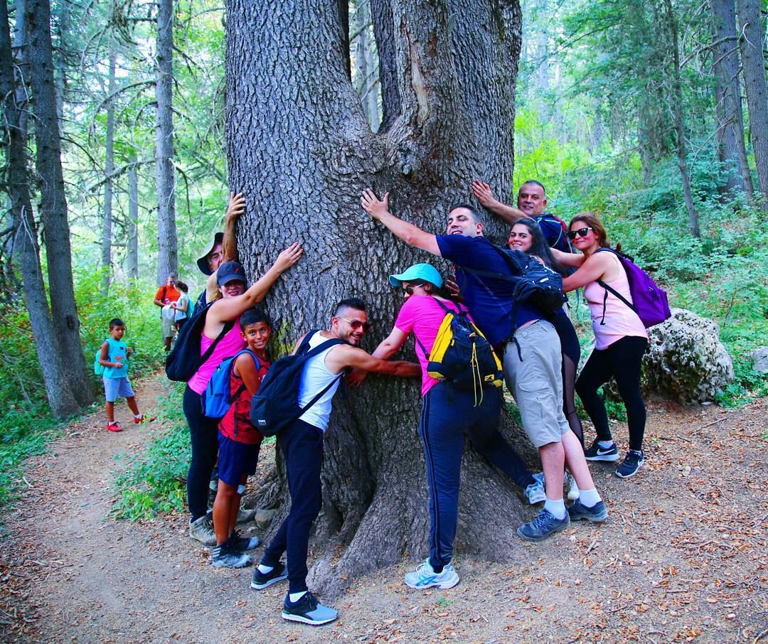 When it's time to Hug a Tree 😍😎❤  hiking  explorelebanon  picoftheday ... (Ehden, Lebanon)