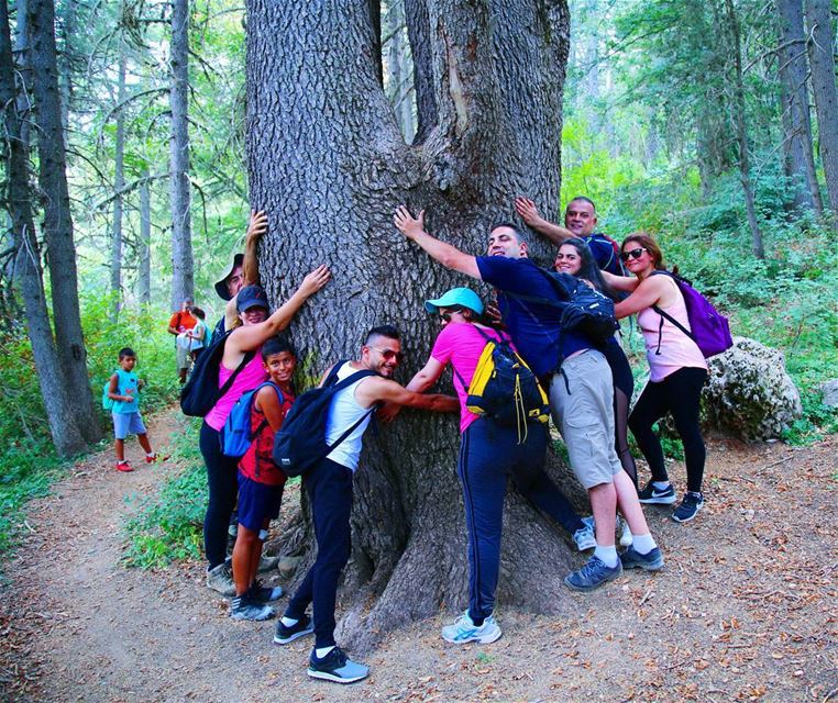 When it's time to Hug a Tree 😍😎❤  hiking  explorelebanon  picoftheday ... (Ehden, Lebanon)