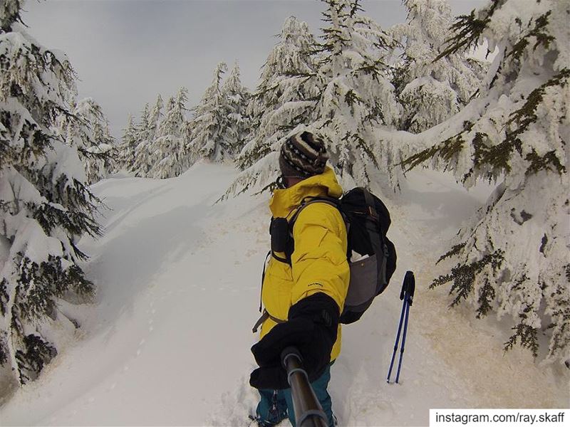 When it snows, my heart glows‼️.... .................. (Snow Forest Adventures)
