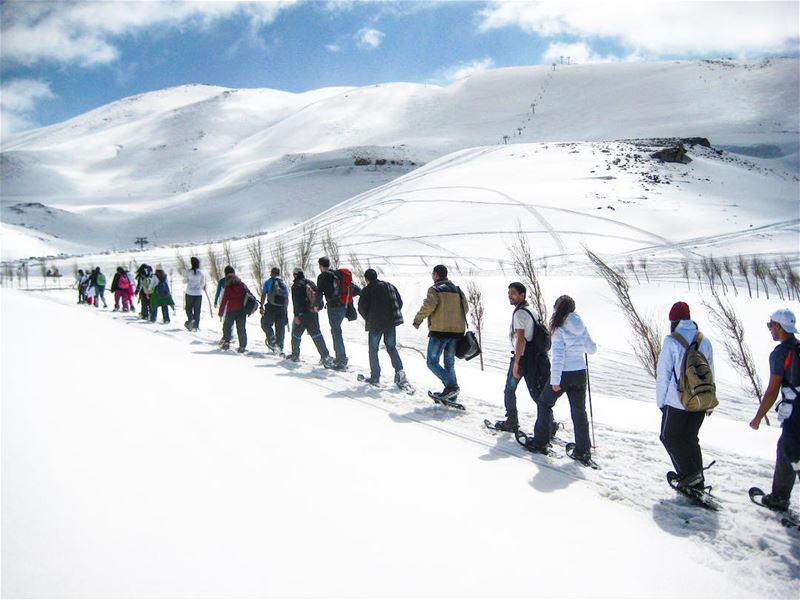 When life gives you  snow ❄️Go  snowshoeing 🎿...