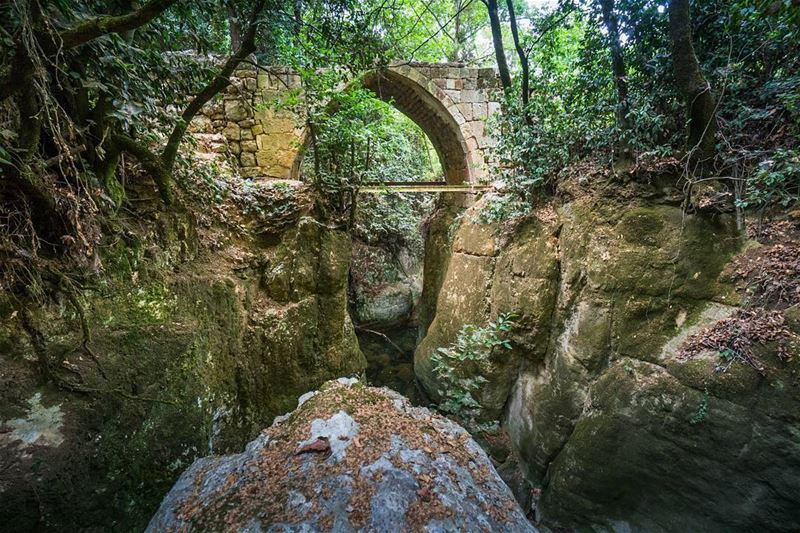 When nature and man collaborate  lebanon ... (Aïn Qanîyé, Mont-Liban, Lebanon)