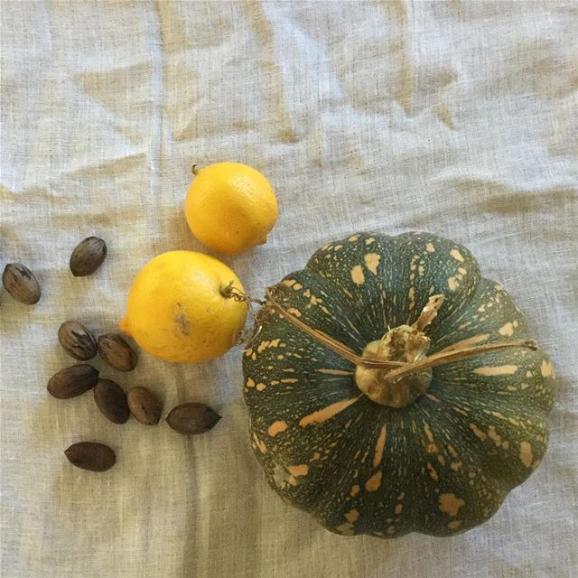 When old friends visit bearing homegrown gifts 🌿🥜🍋🌰 I think Kibbet al... (Guildford West)