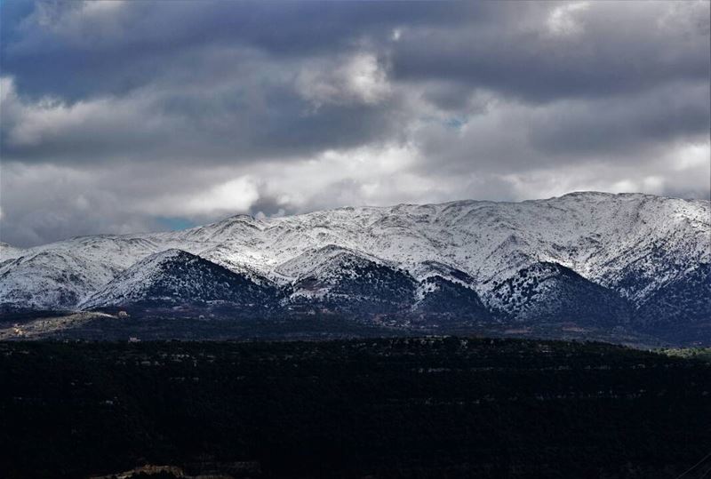 When  snow falls,  nature listens. ❄💙 LebanonViews  LebanonNature ... (Chouf)