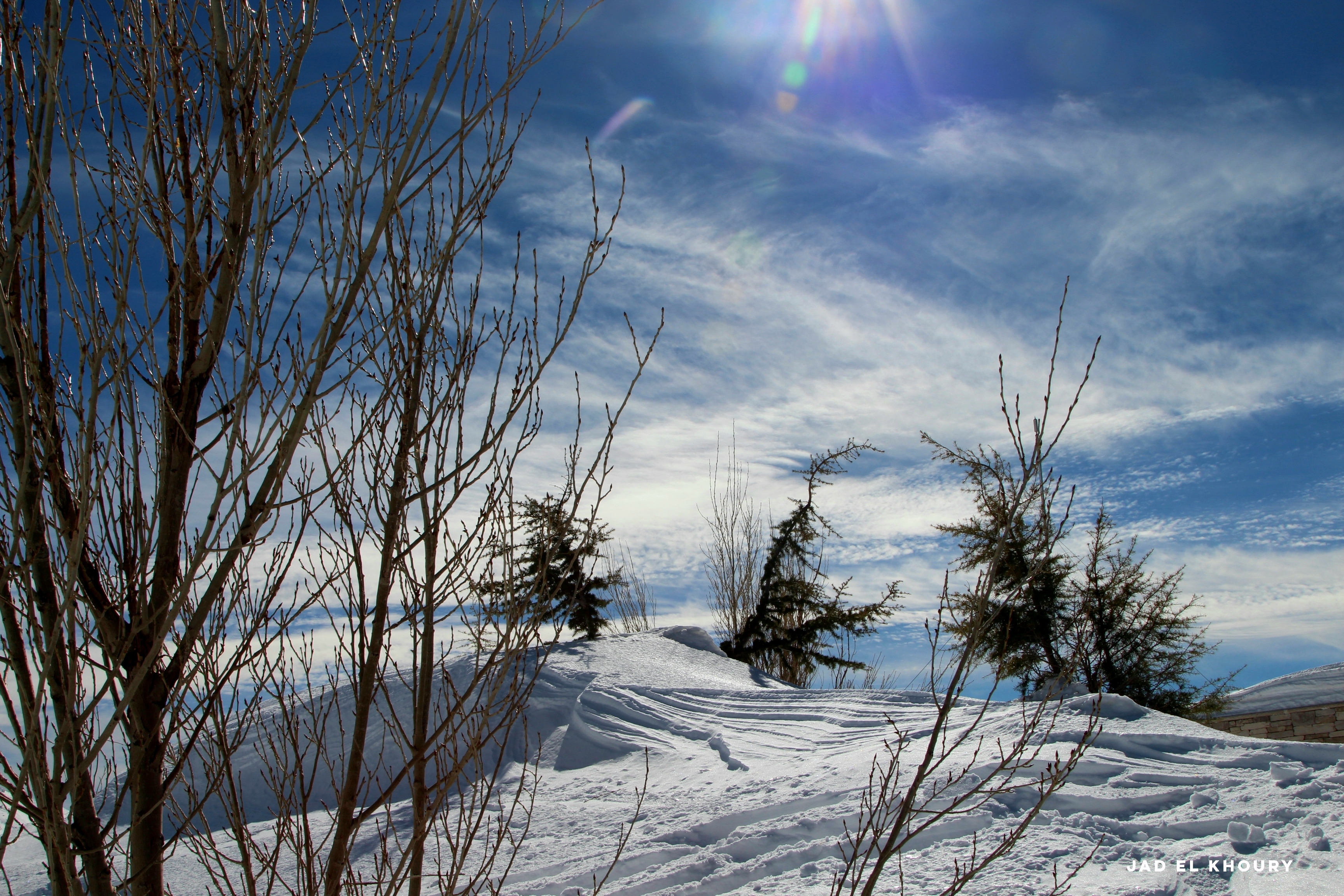 When snow falls, nature listens