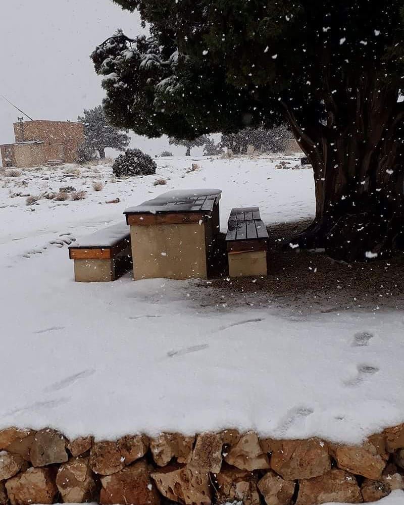 When  snow falls,nature listensPhoto by @kansohaidar winter  wintervibes❄ (El Hermel, Béqaa, Lebanon)