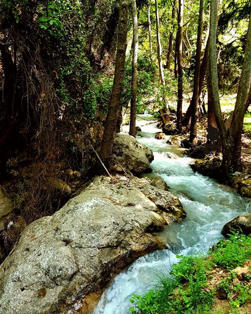 When spring is here  lebanon  naturesbestpics  picoftheday  ... (Miziâra, Liban-Nord, Lebanon)