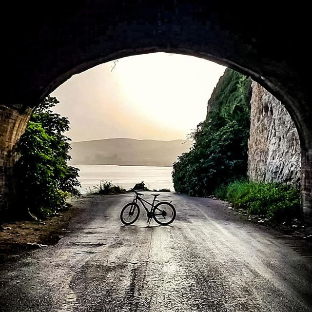 When Sunrise light makes You discover that Friendship follows you in the... (Chekka Aatîqa, Liban-Nord, Lebanon)