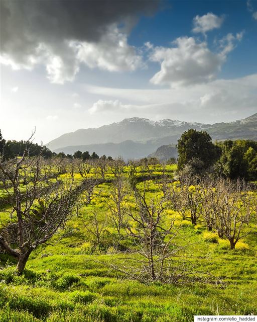 When that stubborn black cloud is still not convinced that winter is over ☁ (Akoura, Mont-Liban, Lebanon)