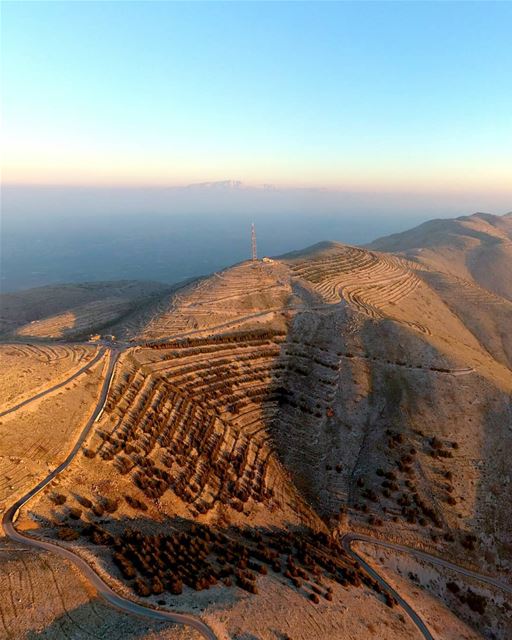 When the Cedars takes the shape of Spider web and the Bekaa Valley split... (Al Shouf Cedar Nature Reserve)