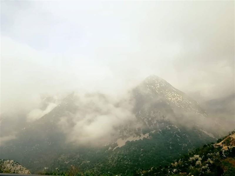When the  fog clears,  sunshine follows. JabalMoussa  unescomab  unesco ...