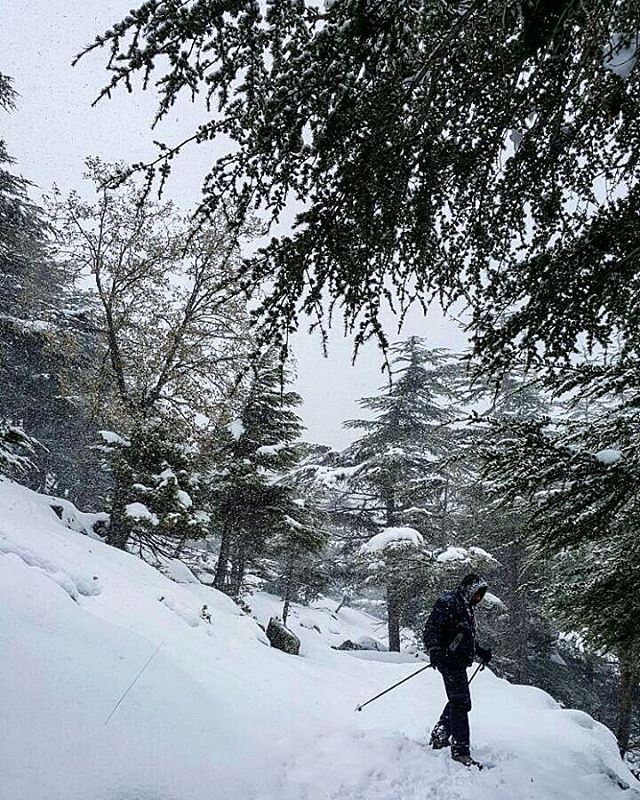 When the storm hits... we hit the mountains  lebanon🇱🇧  PtRoy  fitness ...