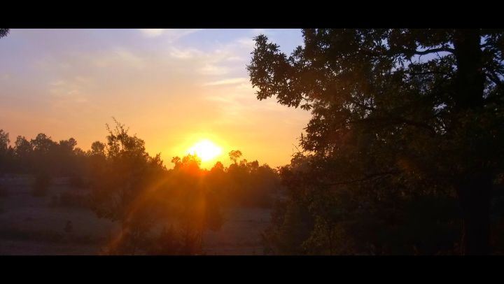 When the sun goes down , I will Always remember us this Way Music : @ladyg (غابة العذر)