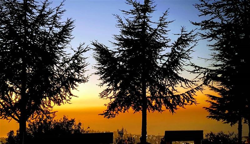 “When the sun has set, no candle can replace it.” ...  sunset trees sky... (somewhere only we go)