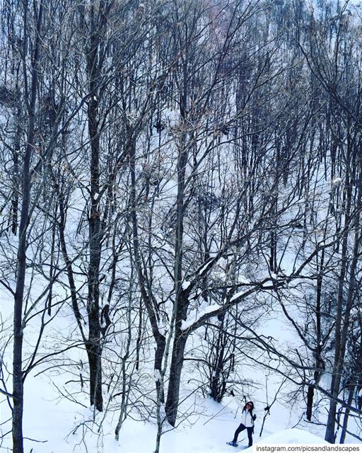 When there's snow on the ground, I like to pretend I'm walking on the... (Ehmej)