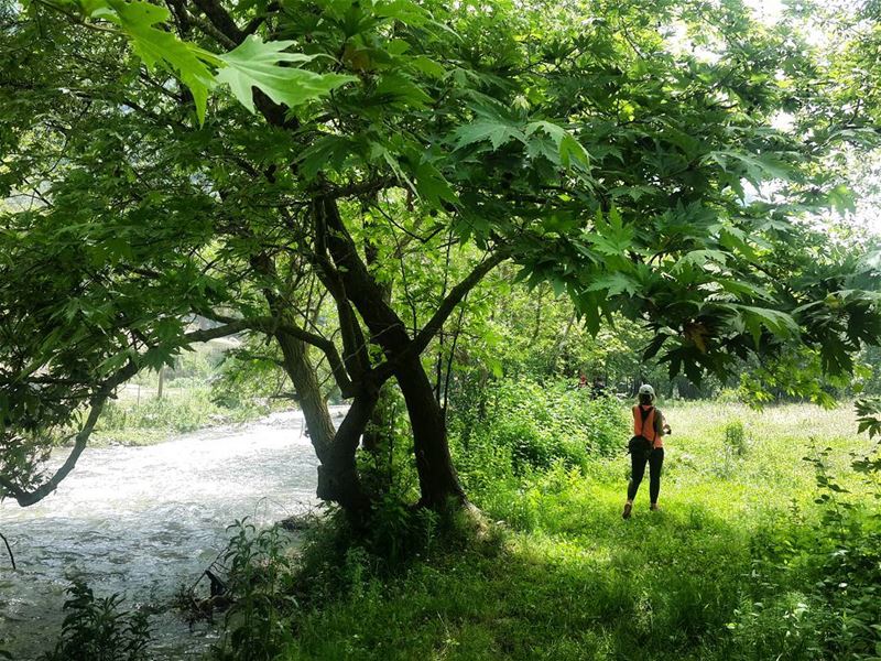 When u love  outdoors so much 😻😻  nature  river  green  spring  lebanon ...