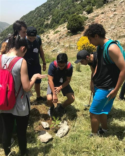 When we  plant  trees, we plant the  seeds of  hope.  JabalMoussa ...