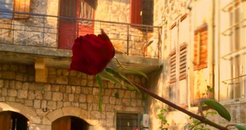 When  words escape,  flowers speak ⚘ haveagoodmonday  beino  beinovillage... (Beïno, Liban-Nord, Lebanon)