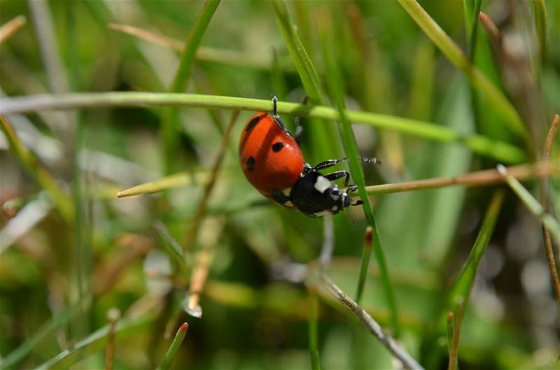 When you appreciate the little things, u see how big they are.... (3youn Orghosh)