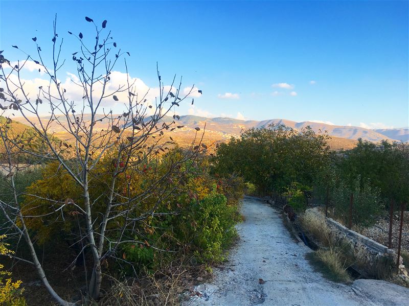 When you are in love with nature 😍☀️ livelovebekaa  livelovenature ... (West Bekaa)