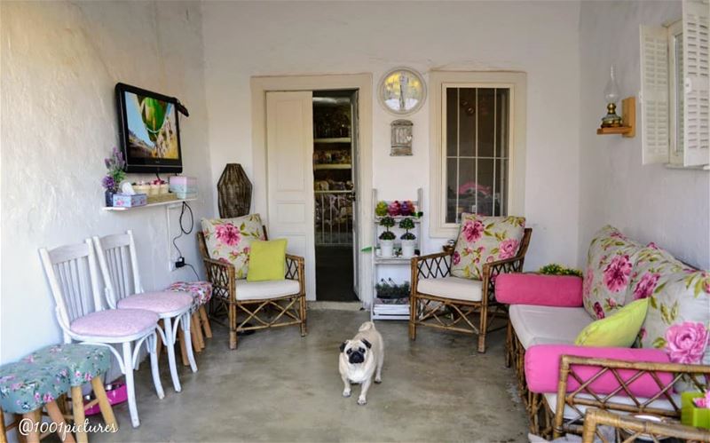 When you come home and someone waiting for you patiently...🐶💕When in... (Rayak, Béqaa, Lebanon)