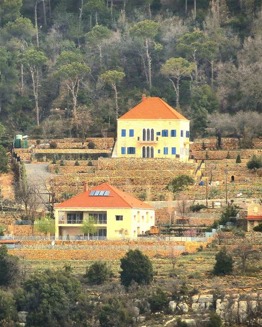 ... When you enjoy every second of every minute of your a trip up to the... (Mount Lebanon)