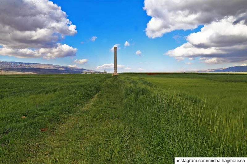 When you finally go back to your old home, you find it wasn't the old home... (Aâmoûd Îaât)