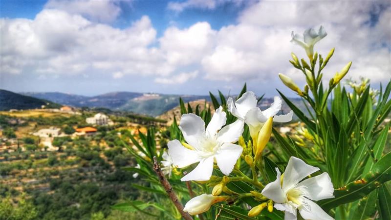 "When you have once seen the glow of happiness on the face of a beloved... (Aabdillé, Liban-Nord, Lebanon)