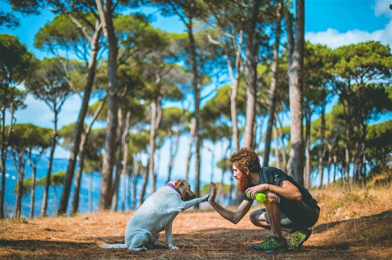When you needed a hand and found a paw 🐾 (Ra'S Al Matn, Mont-Liban, Lebanon)