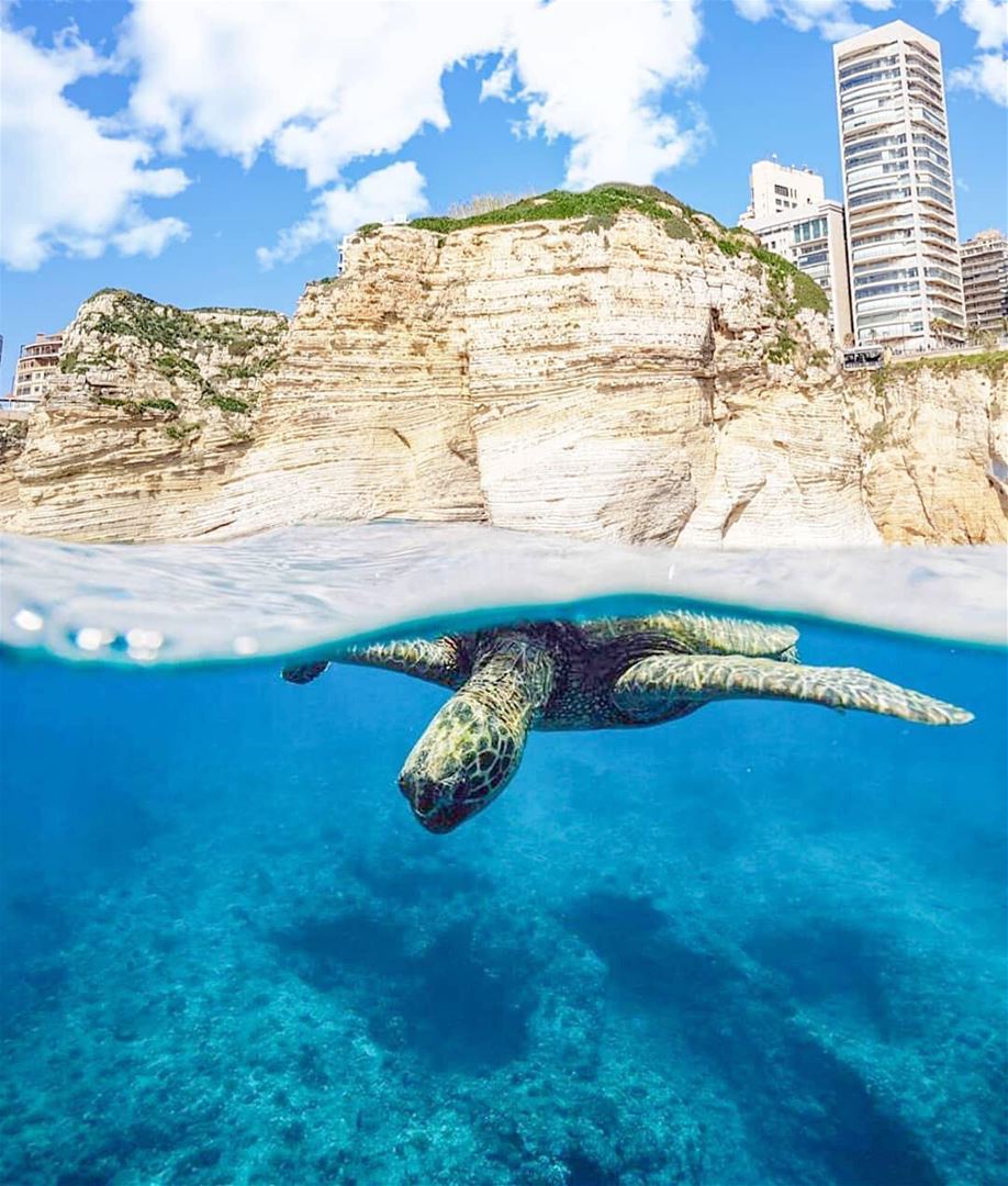 When you put positive vibes to the universe, the universe listens. 🌊🐢By... (Raouche Rock , Beirut , Lebanon)