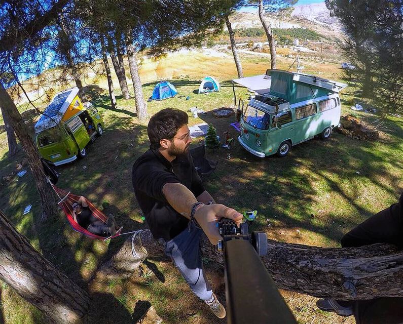 When you’re chilling on the tree and you notice someone down stealing from... (Bkâatouta, Mont-Liban, Lebanon)