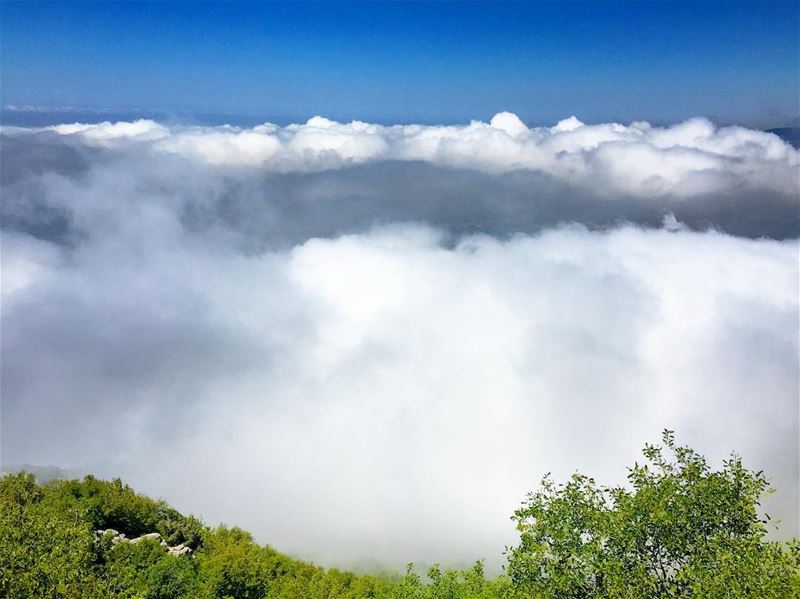 When you're  onthetopoftheworld 😃 and can see nothing below, but a ...