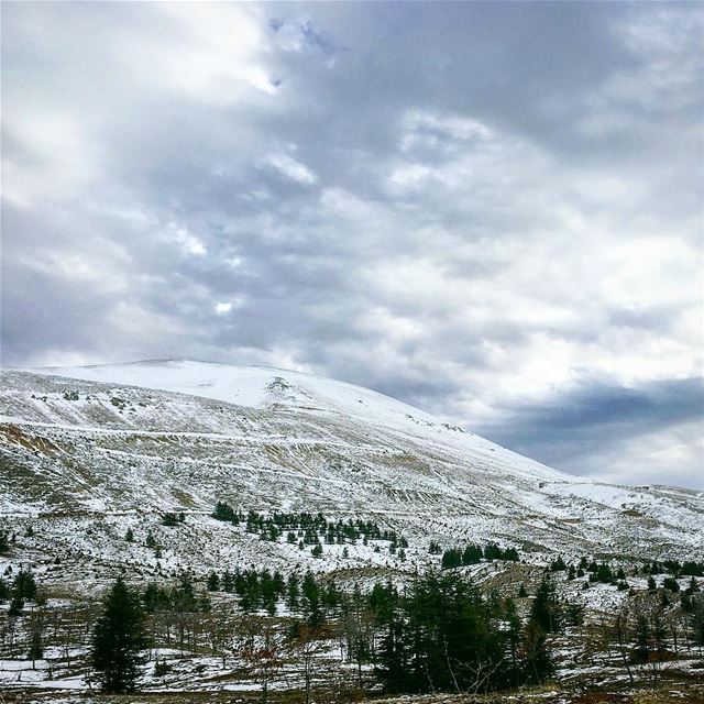 When you reach the mountain top, keep climbing .. lebanon  arz  cedars ... (Cedars of God)